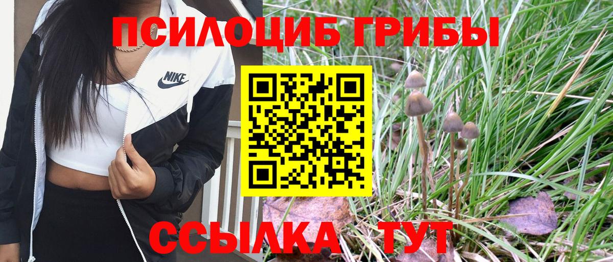 Псилоцибиновые грибы Psilocybine cubensis Благодарный