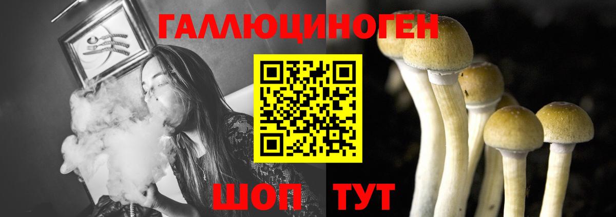 Псилоцибиновые грибы прущие грибы  Вход с VPN  Благодарный  Галлюциногенные грибы Psilocybe 